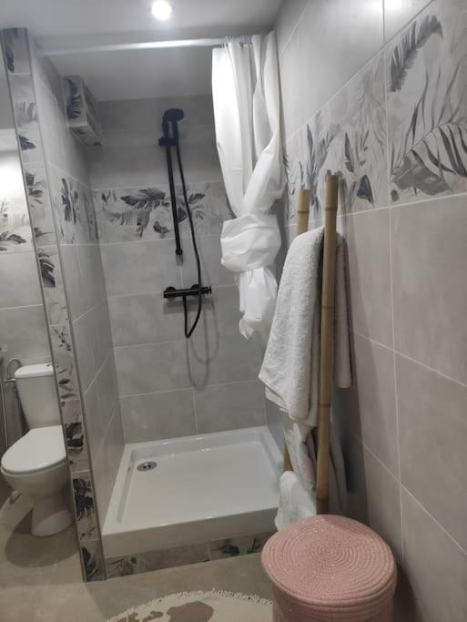 Maison Rez De Chaussee, Espace Jardin Pres Du Centre D'arles Holiday home *
